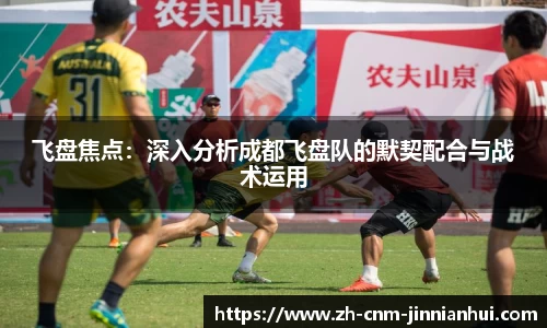飞盘焦点：深入分析成都飞盘队的默契配合与战术运用